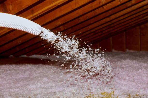 Professional Foam Insulation Services in Luckey, OH